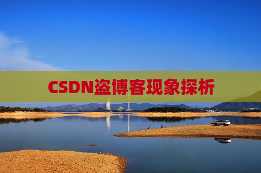 CSDN盗博客现象探析